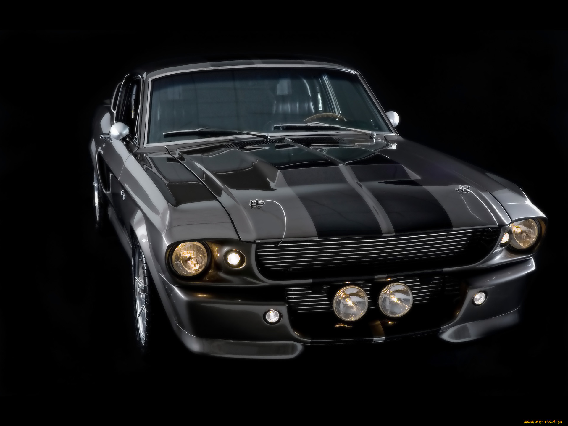 , mustang